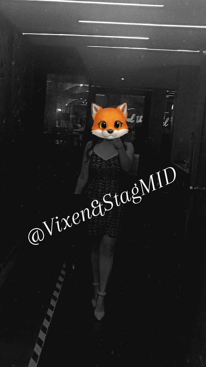 Bosé & Harald♠️🤍 tweet media