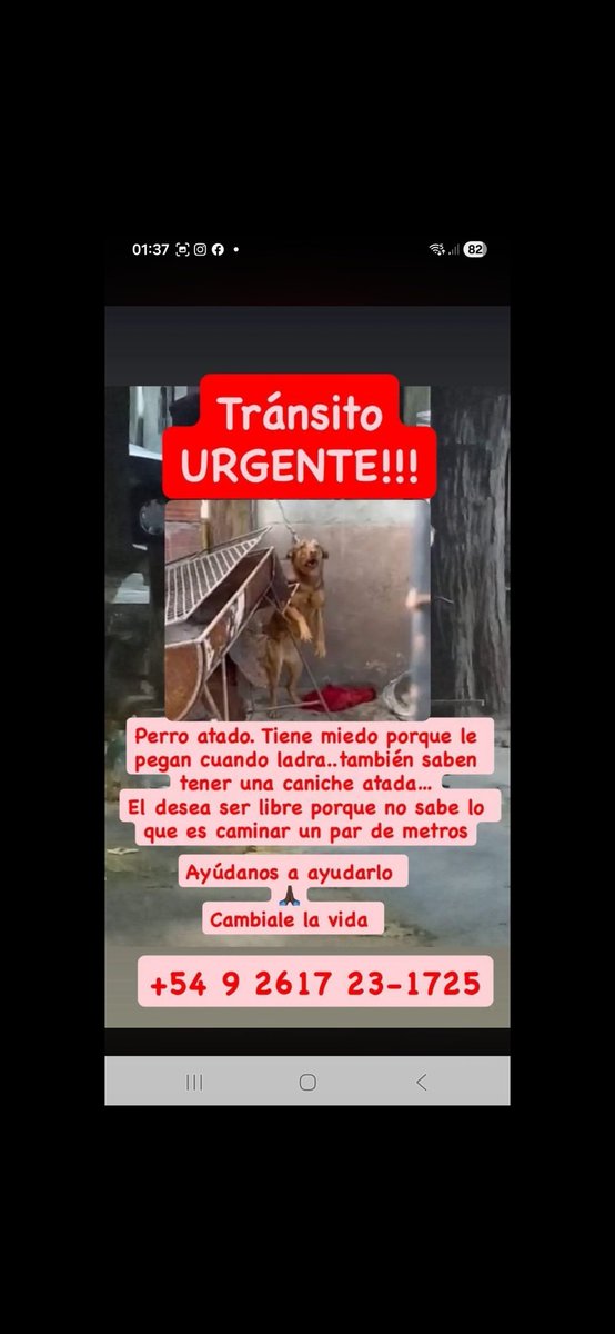 Maria Ines tweet media