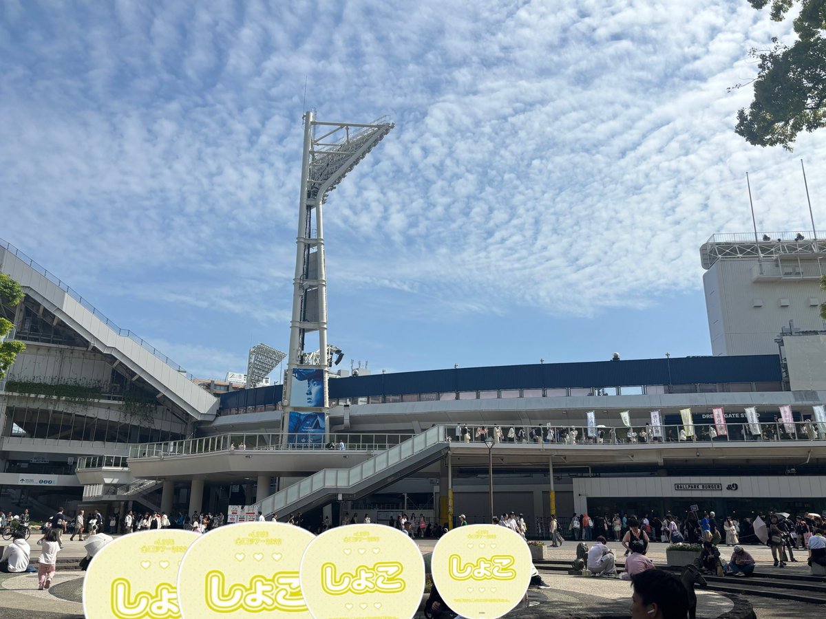 しのた tweet media