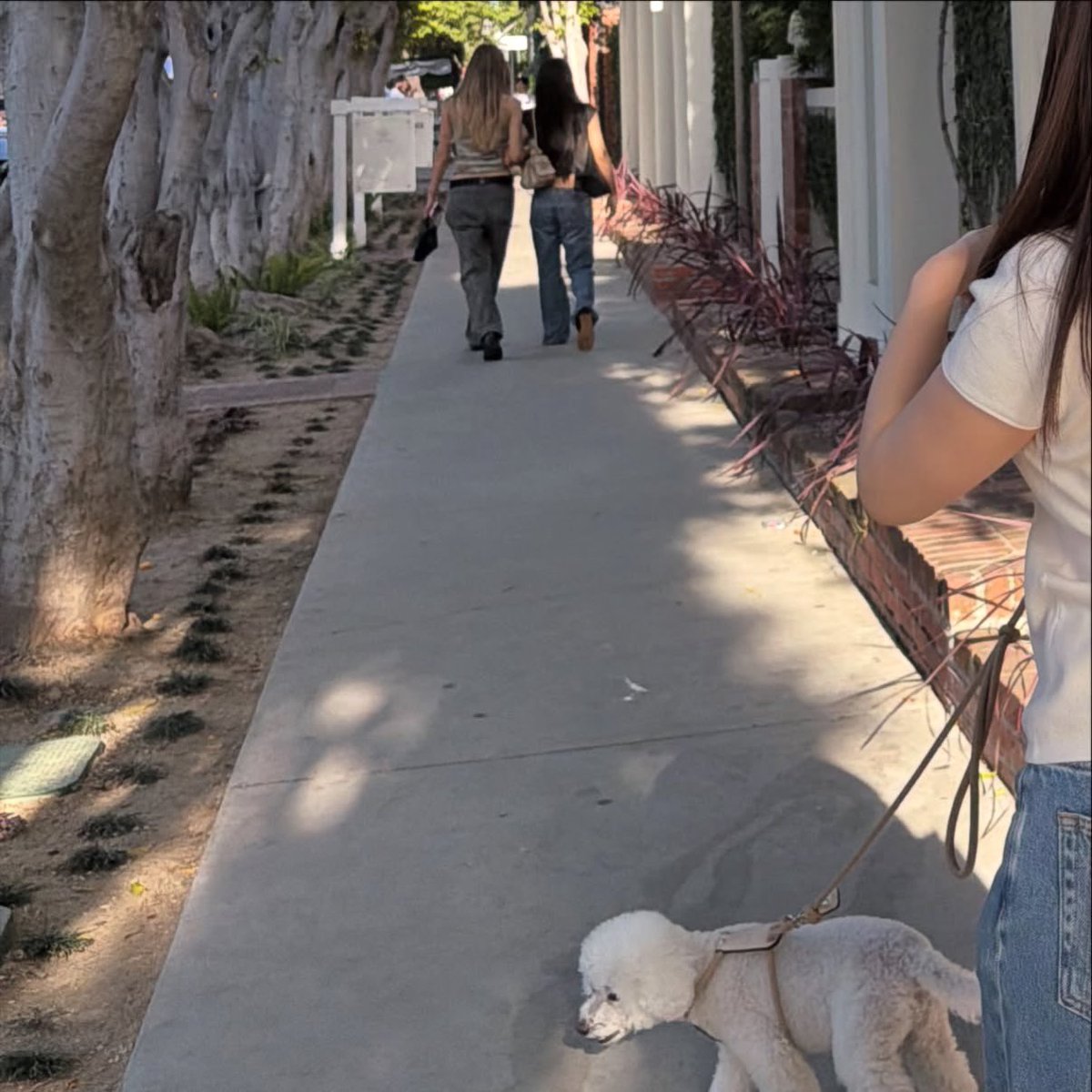 Jennie was spotted in LA yesterday 

cr.luvmochi_