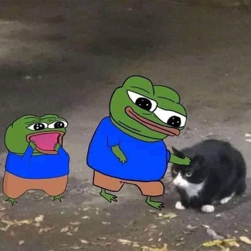 Carlos That Notices Things tweet media