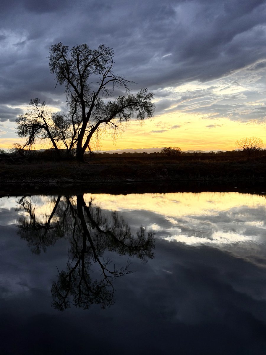 D Miller tweet media