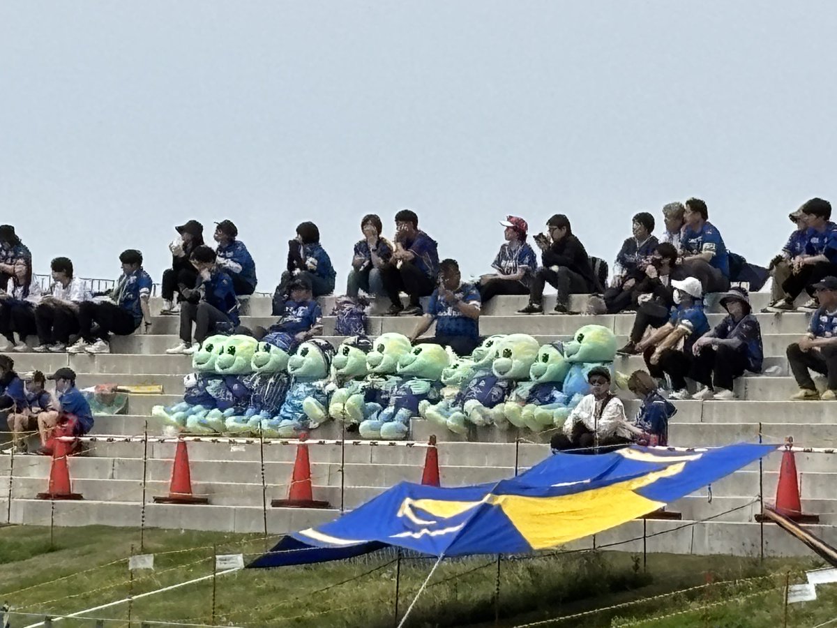 toripanda7 tweet media