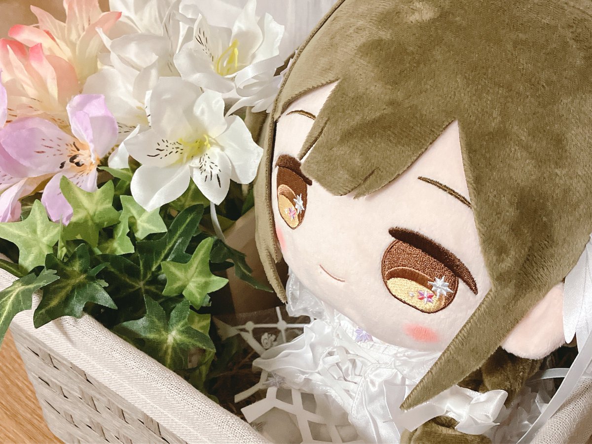 K1hin's tweet photo. 🌸固定用 ໒꒱

19┆🚹┆大阪┆同担◎
私事が落ち着いてきたのでシャニ繋がりの人増やしていきたいです！
シャニ以外も雑多に呟く垢ですが、絡んでいただけると嬉しいです！
╶╶╶╶╶╶╶╶╶╶╶
#シャニマスPと繋がりたい
#シャニマスPさんと繋がりたい
#プロデューサープロフィール https://t.co/tRzMsjqqPj
