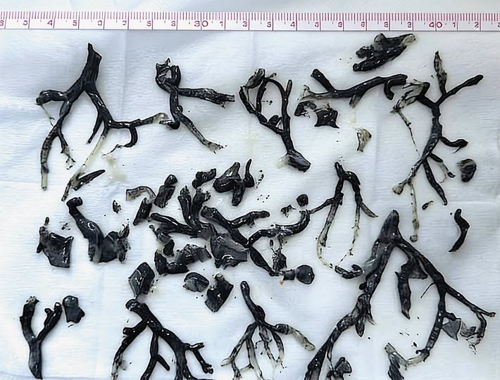 แมวเกเร tweet media