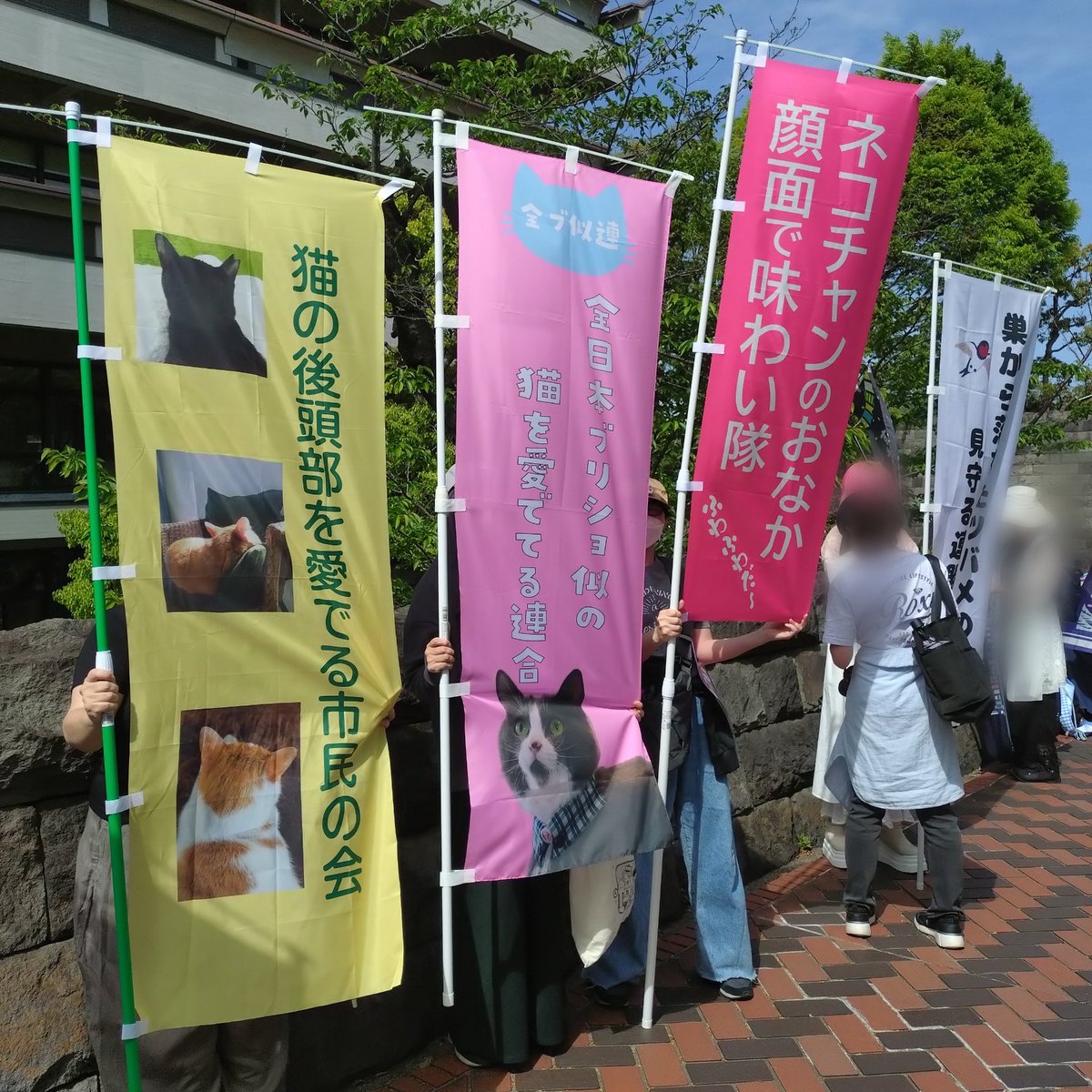 猫の手づくり首輪こげねこ@ネットショップ絶賛稼働中 tweet media