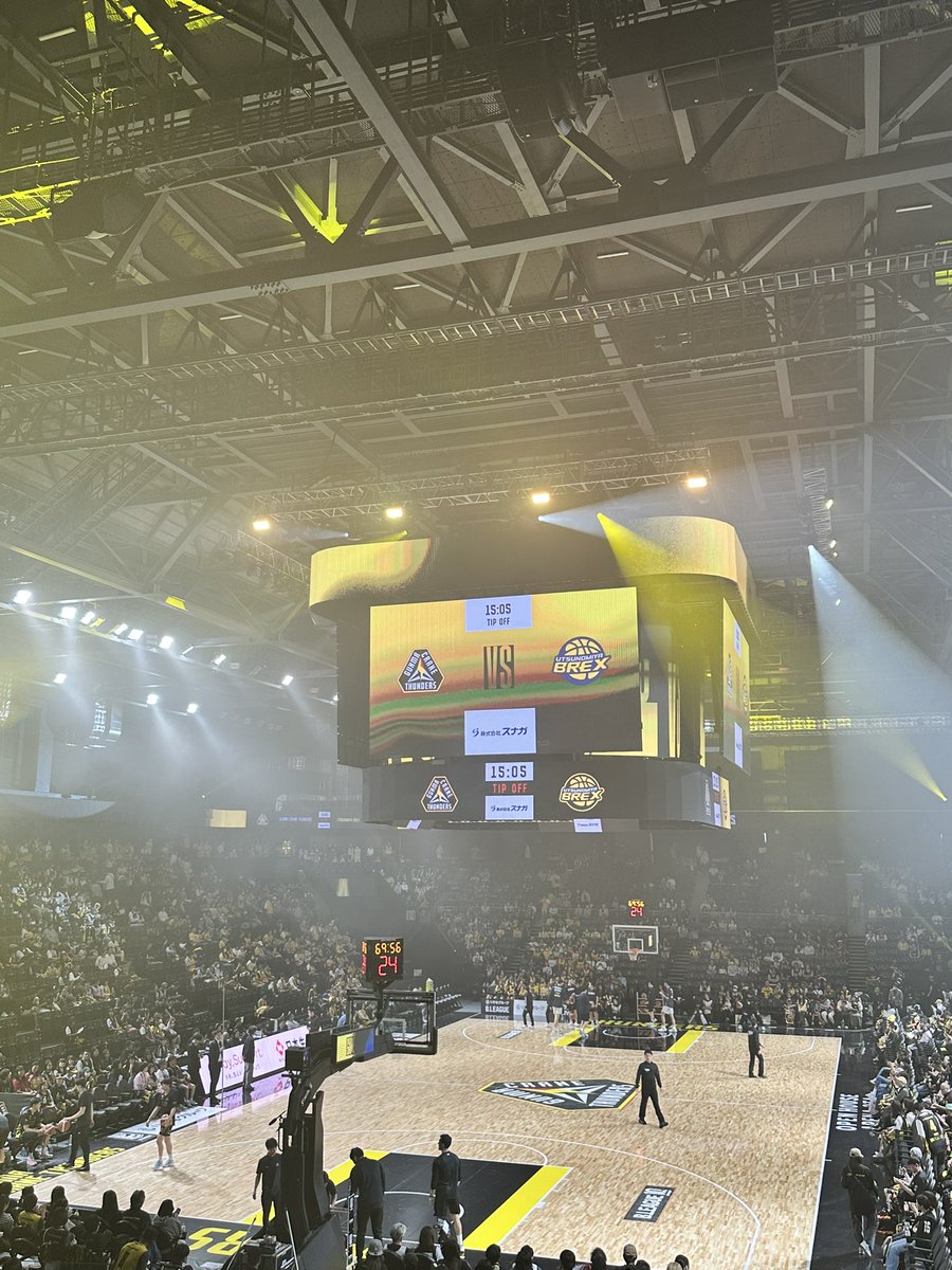 duck（あひる） tweet media