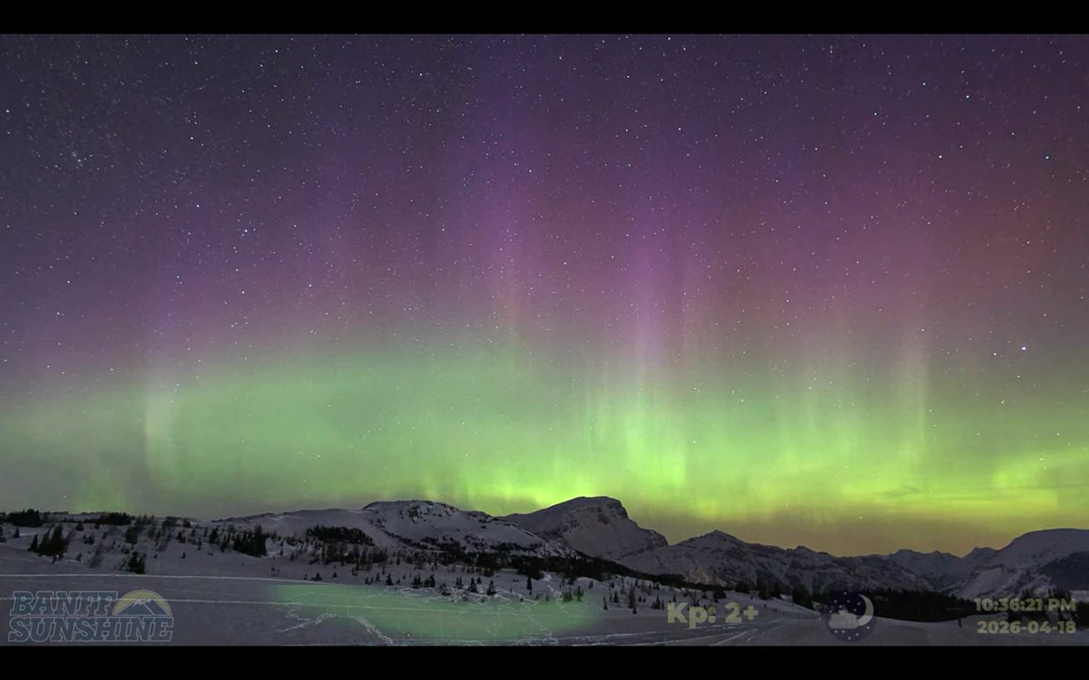 OtaruPhantom's tweet image. 今日、4月19日 #カナダ #Banff 郊外 #SunshineVillage(北緯51度11分) のライブカメラで #オーロラ 確認。赤紫色とピンクと #緑色オーロラ が実に美しい！新SNS #bluesky(bsky.app/profile/shibac…)もよろしく！URL: youtube.com/watch?v=jNsYQv… #northernlights #aurora #Auroraborealis #dancing_curtain