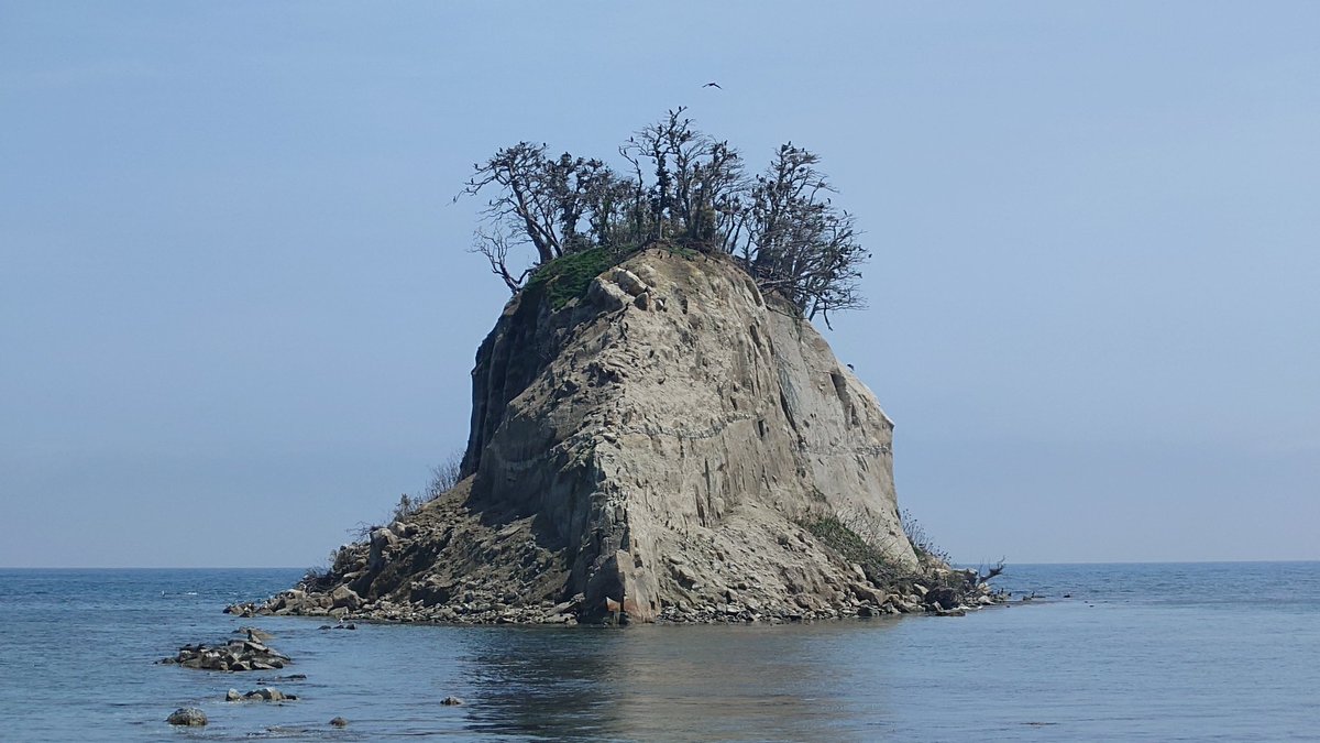 ぐらはむ tweet media