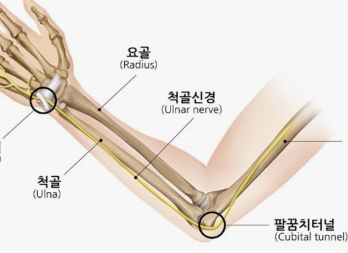 씨발아 진짜 손이나 손목도 아니고 어떻게 여기를