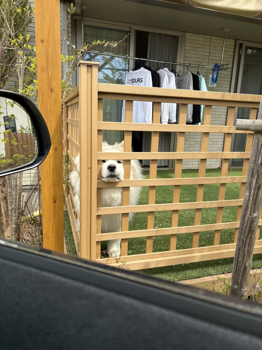 行ってきます🥺