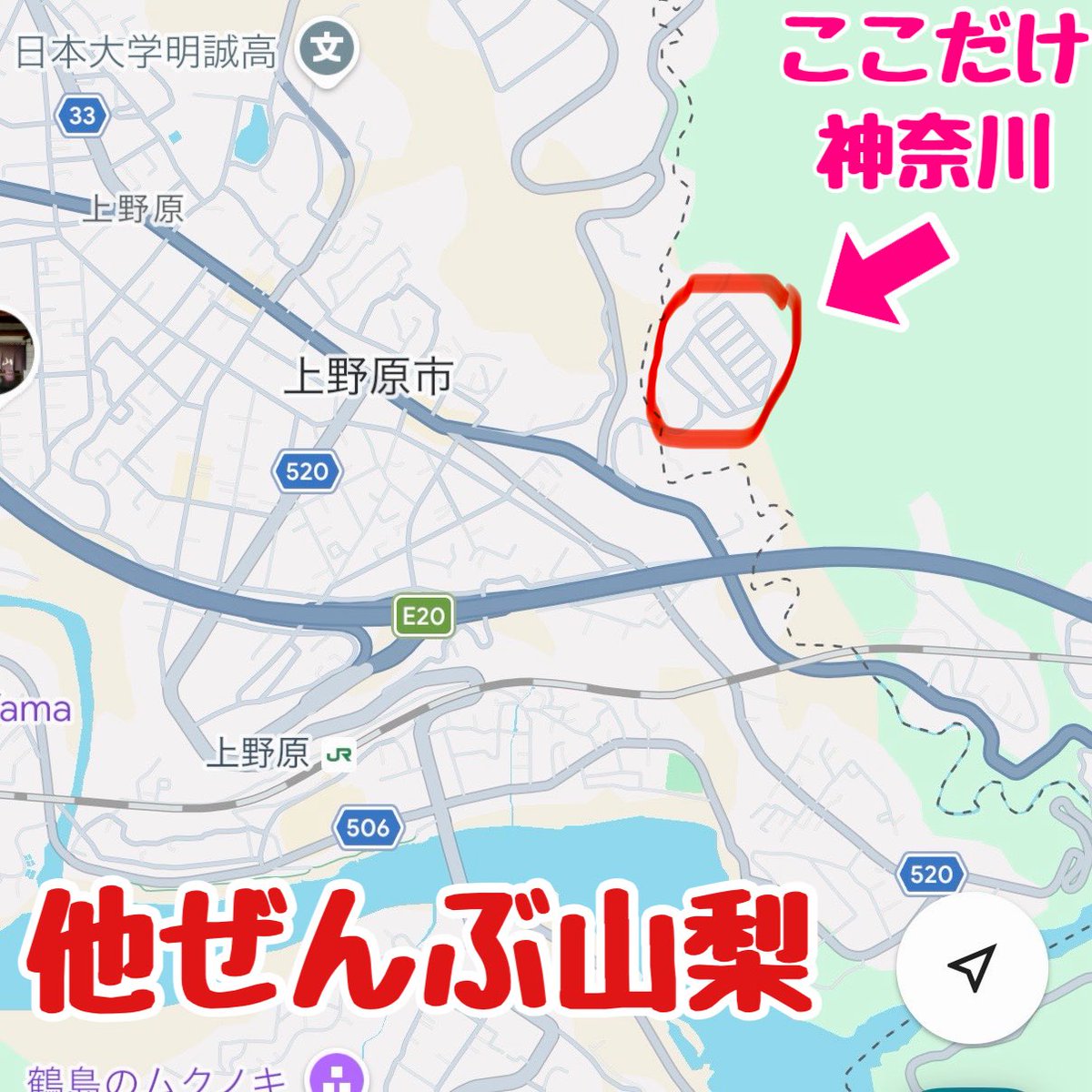 どこにでも行くドスコイ tweet media