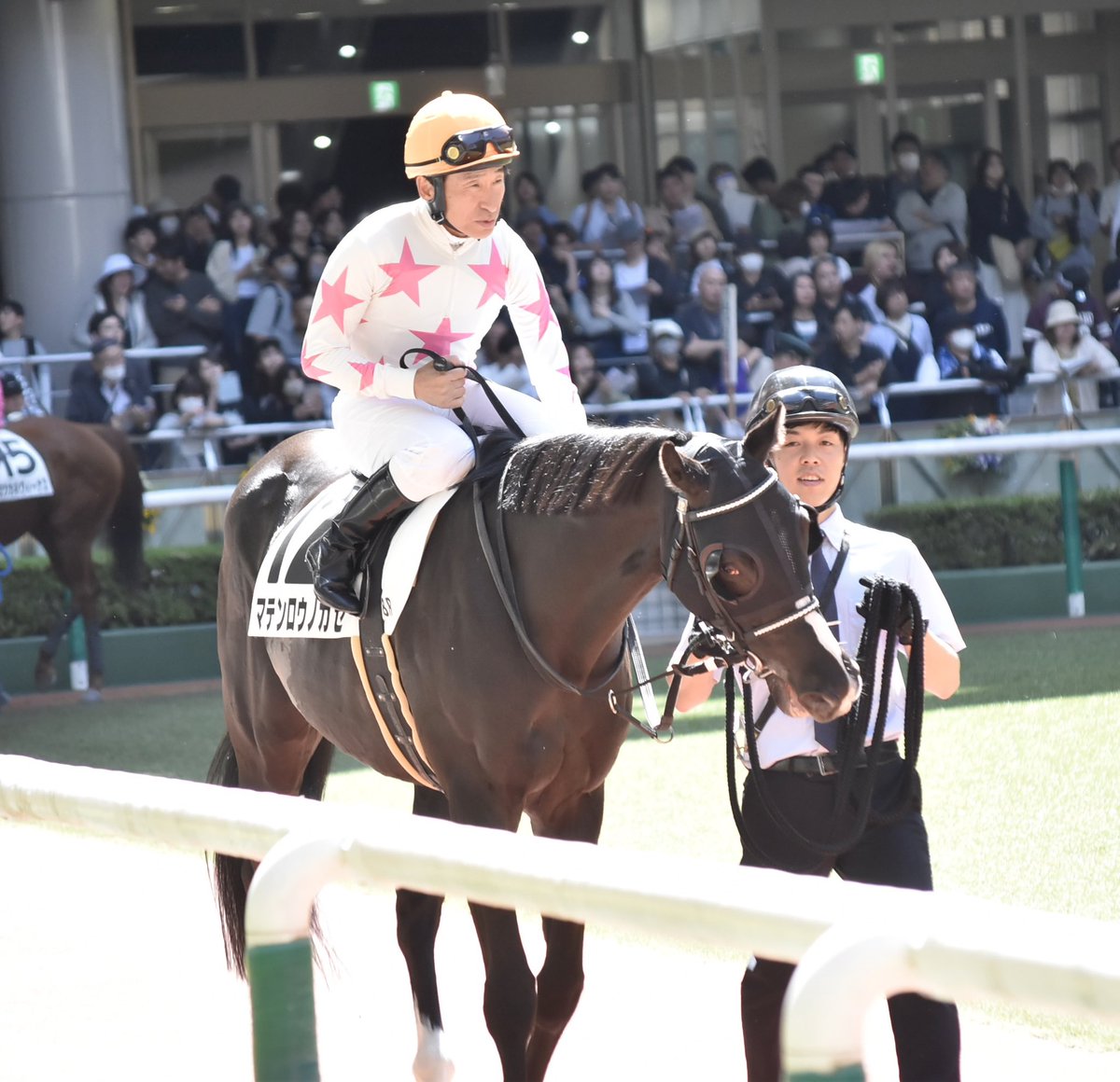 🅨🅐🅜🅨🅐🅜 tweet media