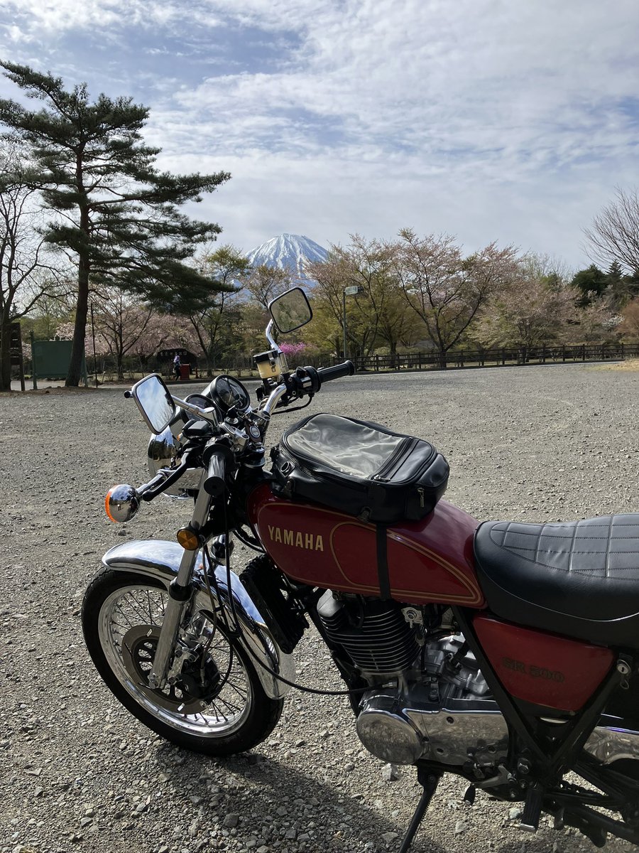 トレ tweet media