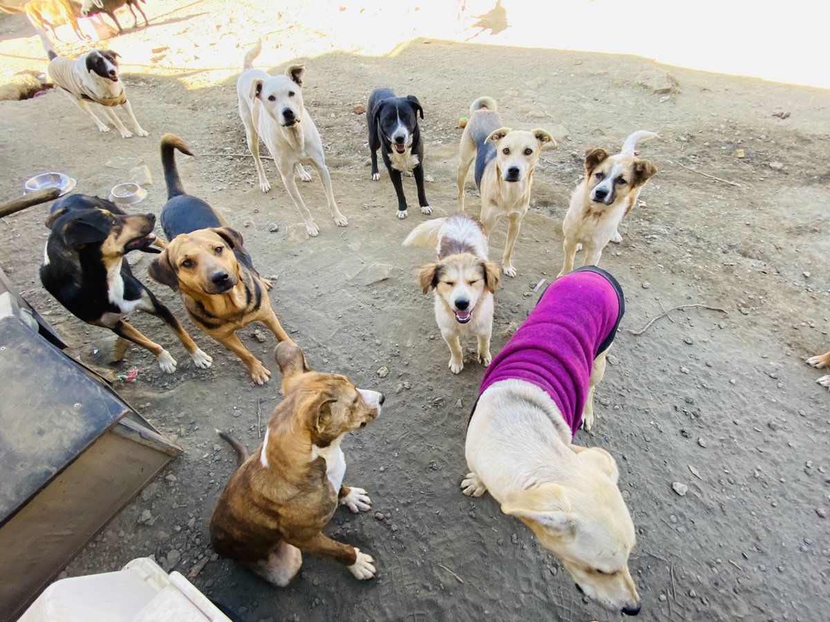 Oceanican tweet media