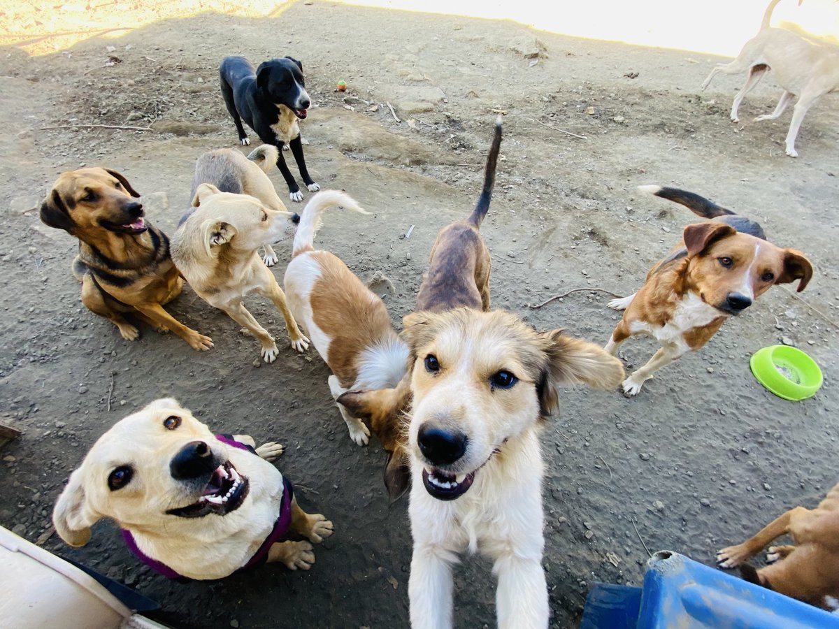 Oceanican tweet media