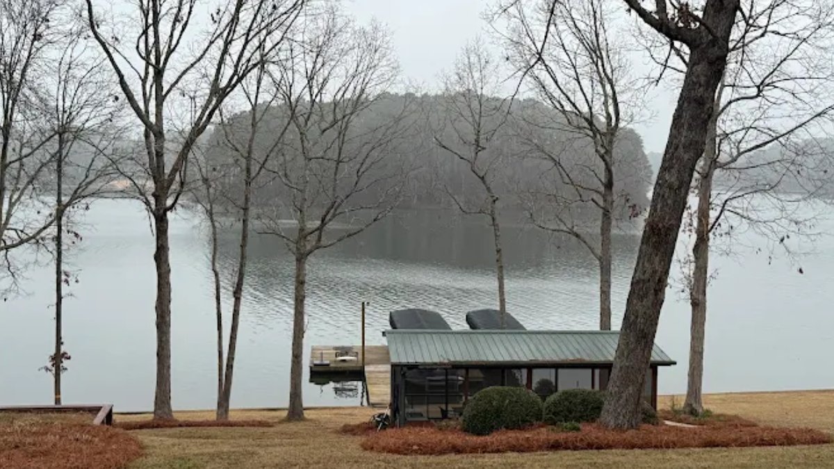 zsoutdoorga's tweet image. What Is Tree Cabling and When Do You Need It?

Tree cabling supports weak branches before they crack or fall. It helps protect your home while keeping the tree strong. Call Z’s Outdoor Services for safe, professional tree support.

#TreeCare #HomeSafety