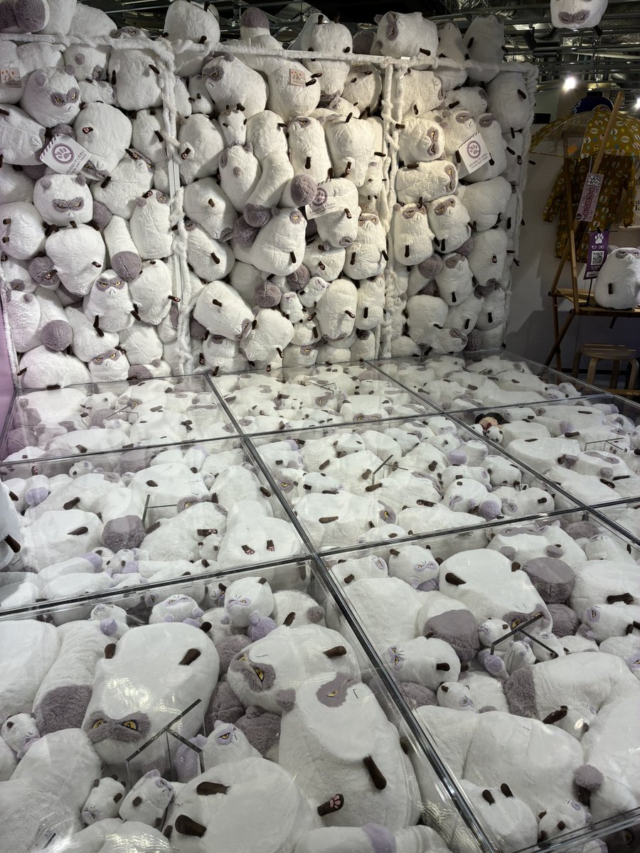 naonao ⌐◨-◨ tweet media