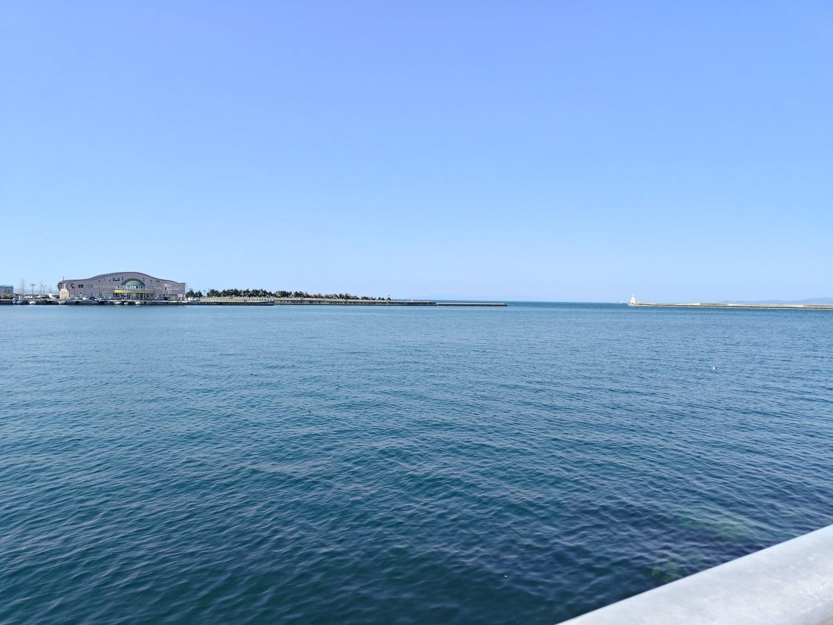 いまじん tweet media