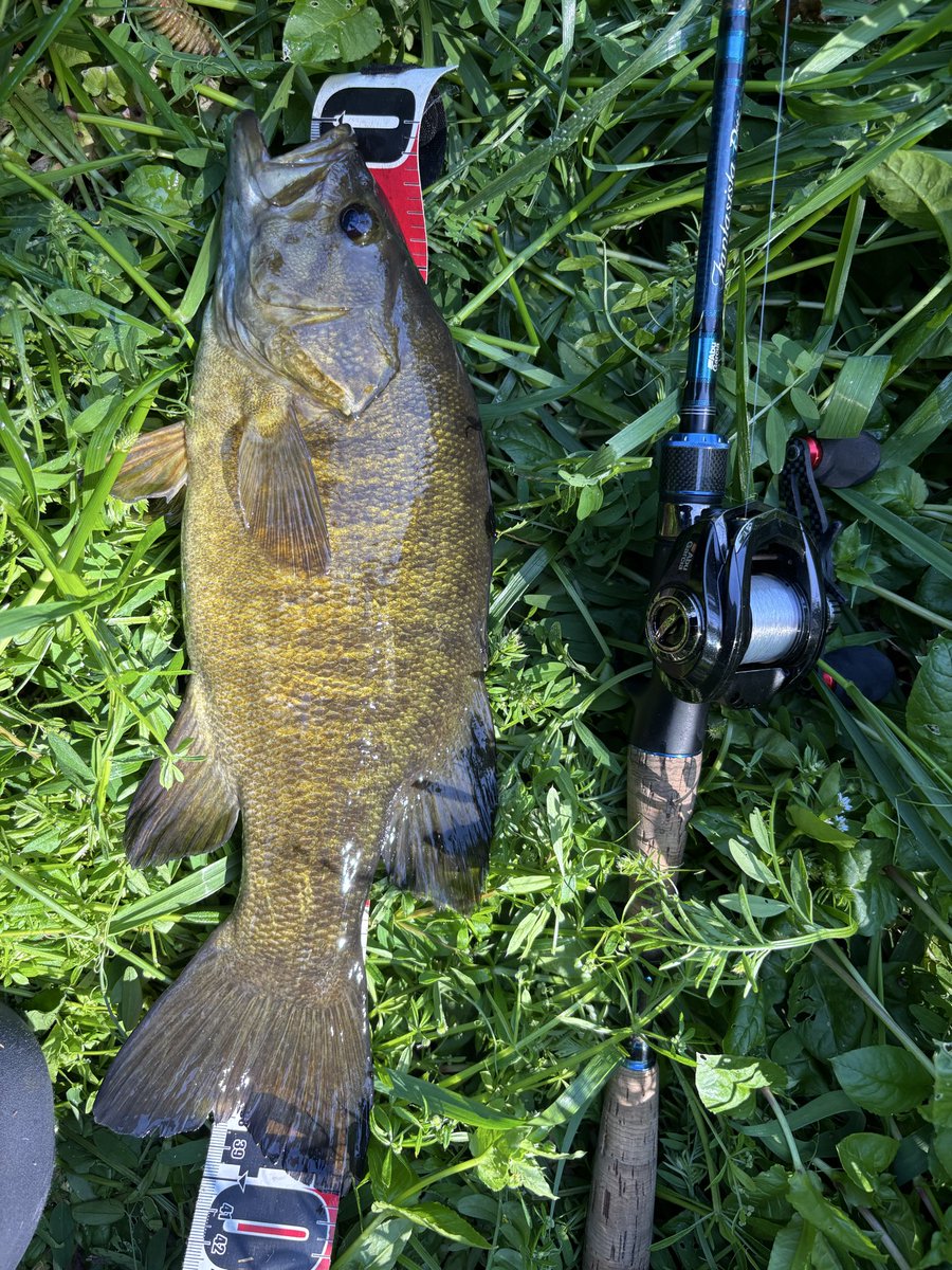 カズマル٩( 'ω' )و🎣 tweet media