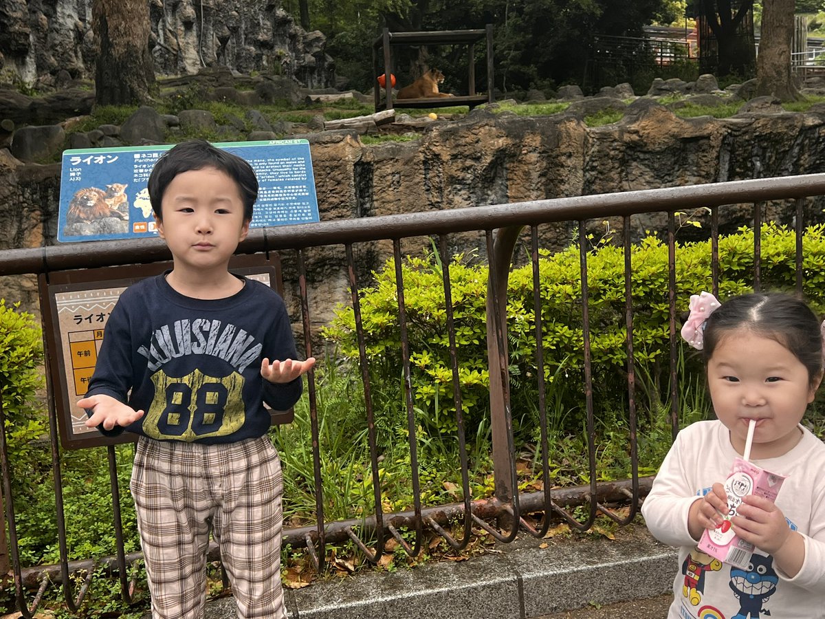 ちゃま tweet media