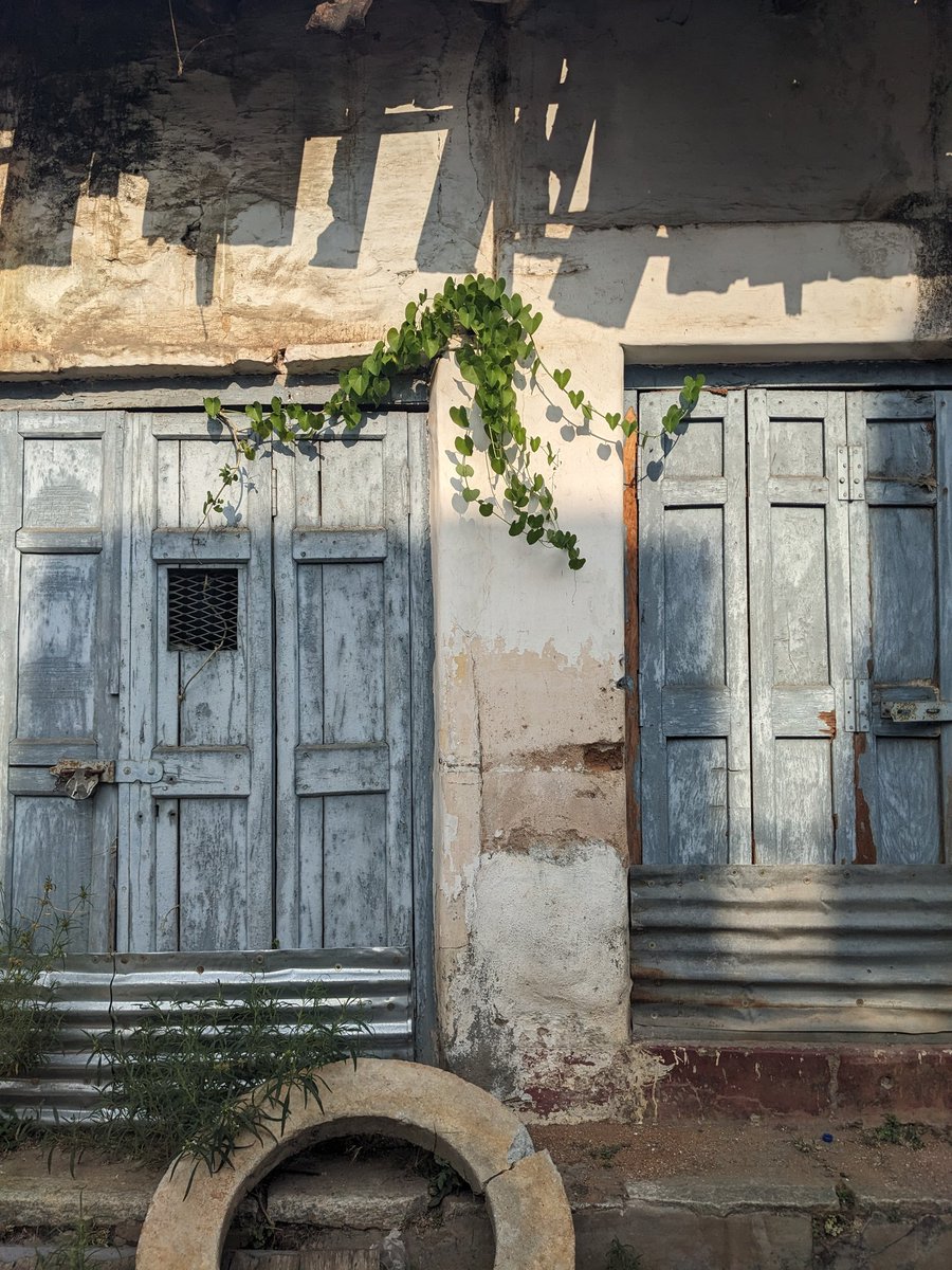 thinkbigh's tweet image. Light and the Green gives Hope isn't it ?! #streetsofmysuru

#mysuru #mysore #oldmysuru