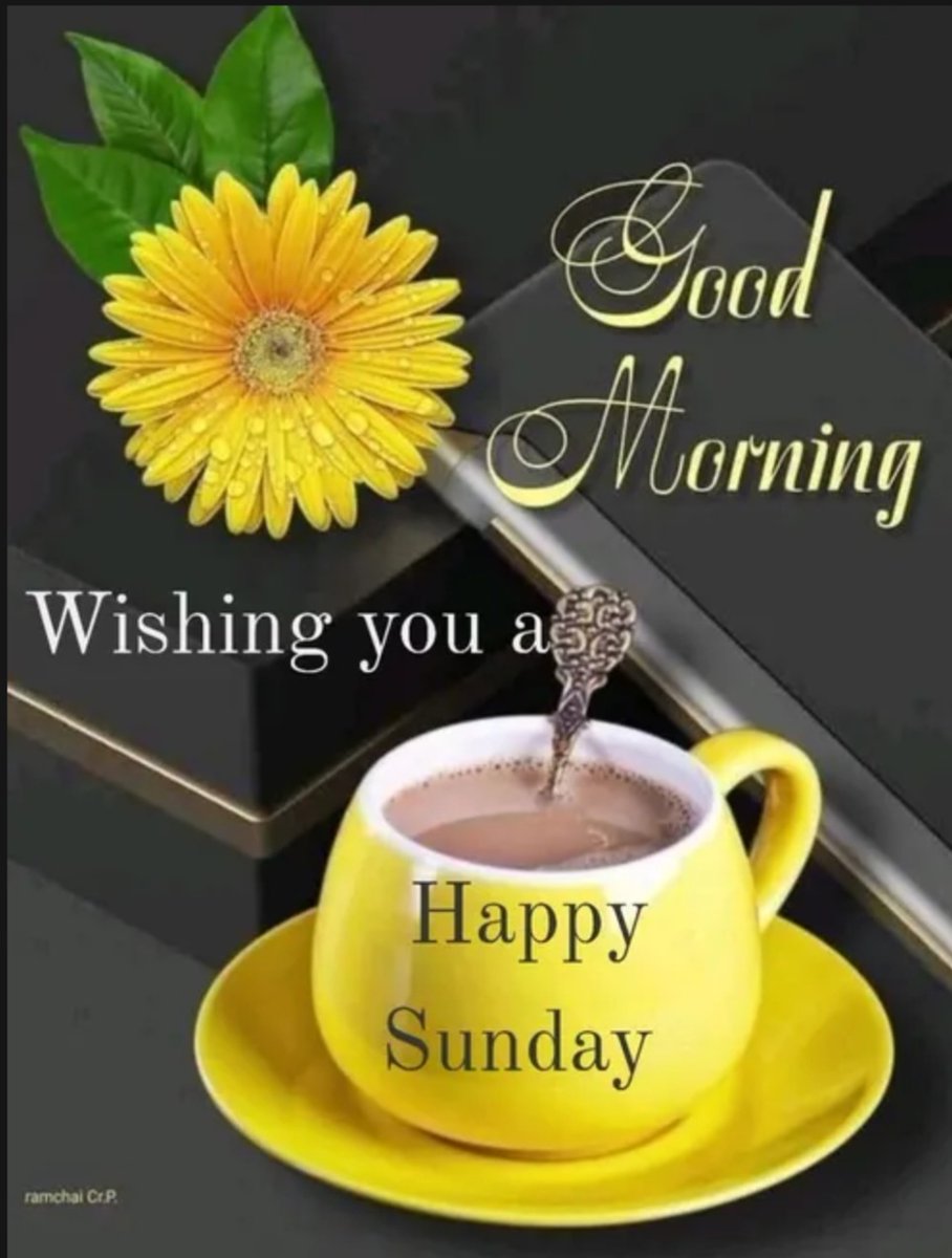SpeakingOut59's tweet image. Good morning! 🌺🏵🦋

#Wordle 1,765 4/6

⬛⬛🟨🟨⬛
🟩🟩🟩⬛⬛
🟩🟩🟩⬛🟩
🟩🟩🟩🟩🟩 Talked myself out of it for 2nd word! 

@KellogCreek @SJamess15 
@sharkclc1 @gilbohouse
@PapaGamer #Wordle1765