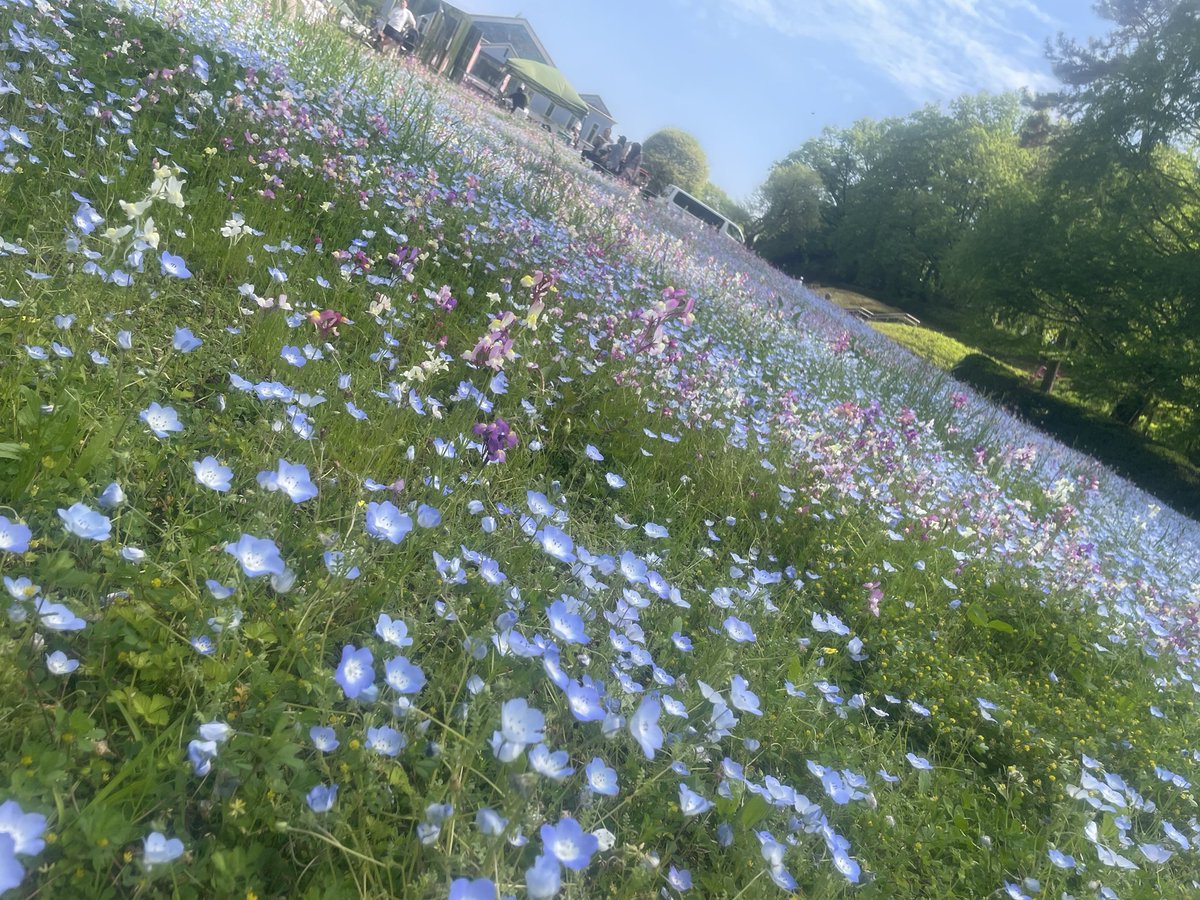 Sunset story tweet media