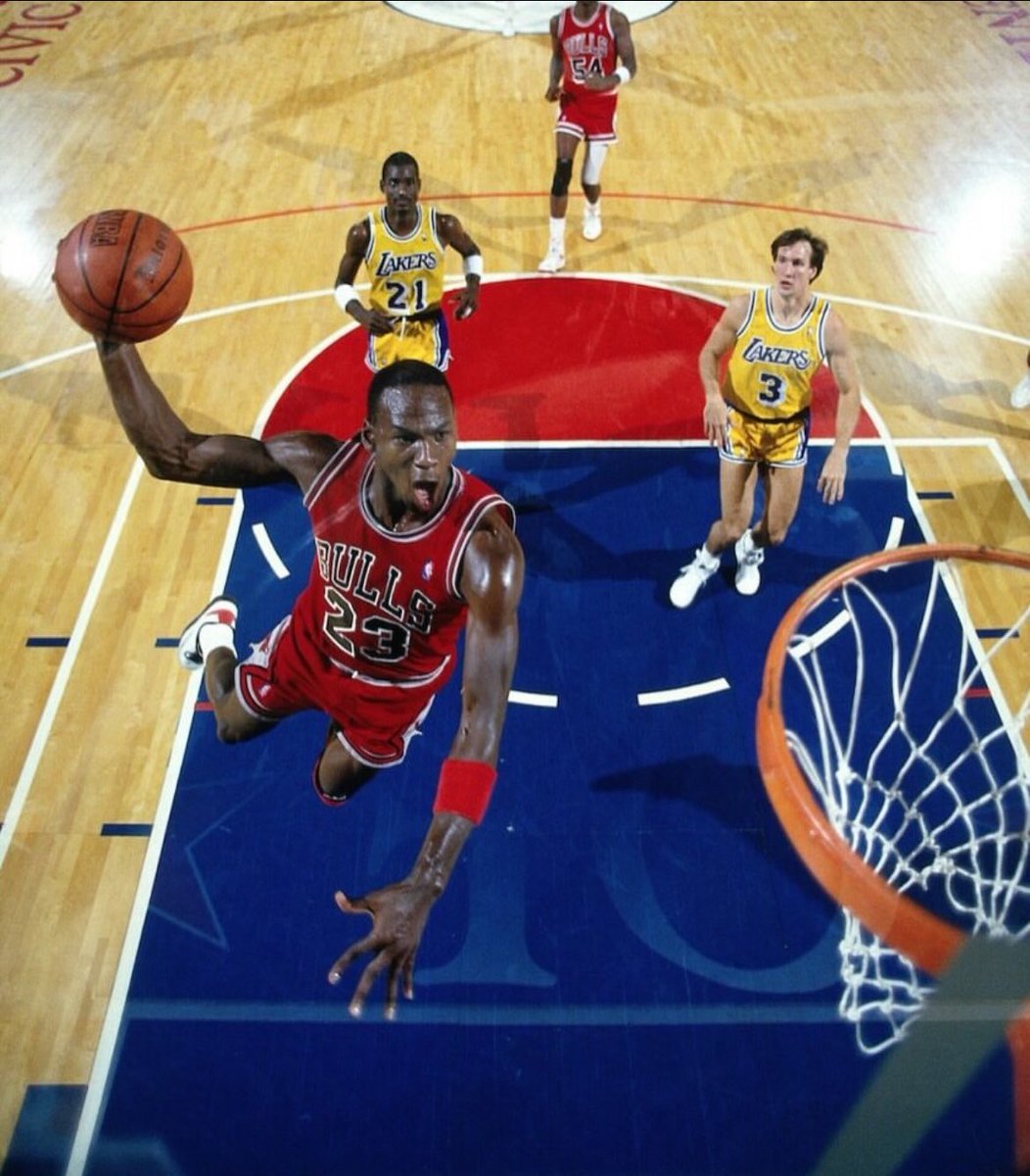 Shark Lark tweet media