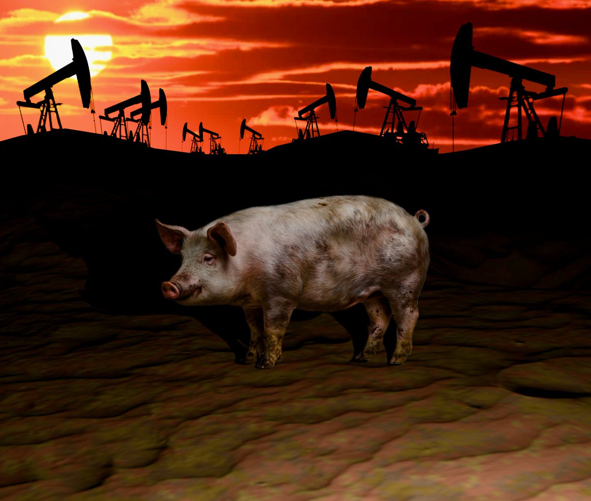 𝕸𝖔𝖓𝖌𝖗𝖊𝖑 tweet media