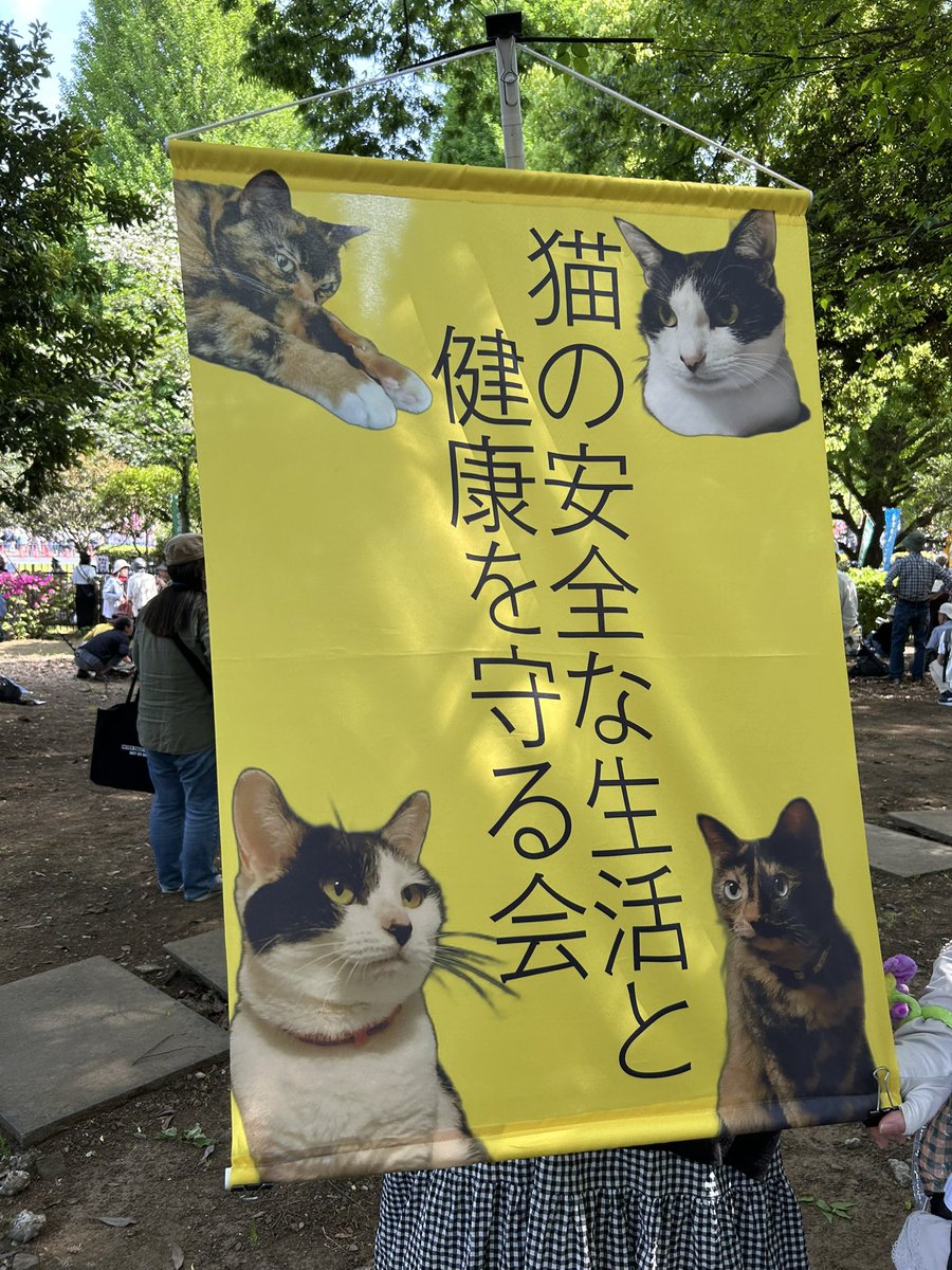 猫組ᕦ(peace!)ᕤ tweet media