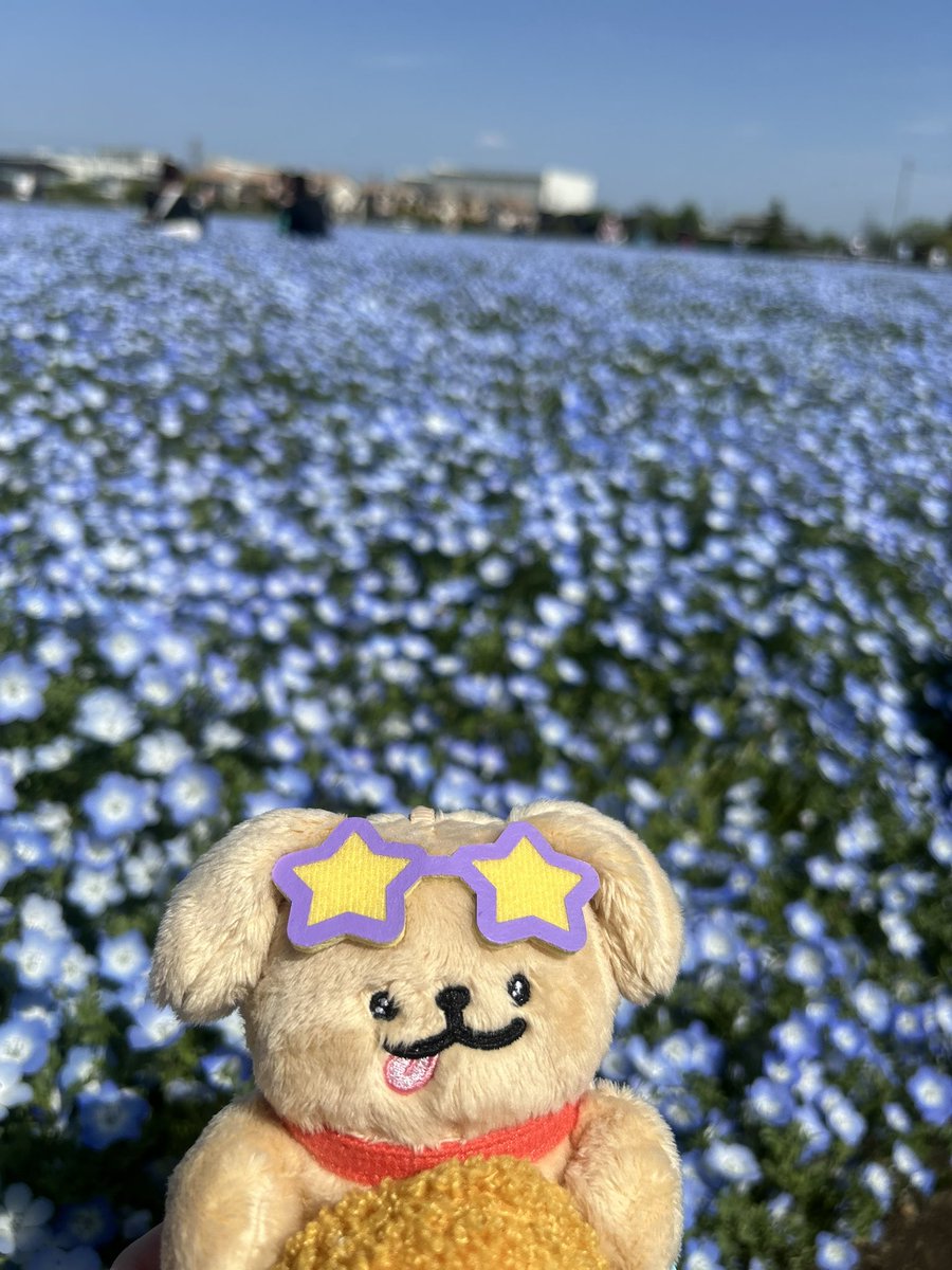 ンちゃん❕ tweet media