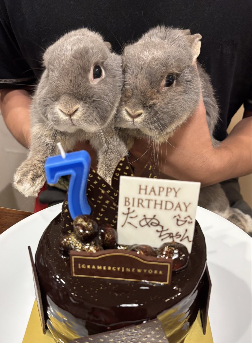 ぴん&たぬ tweet media