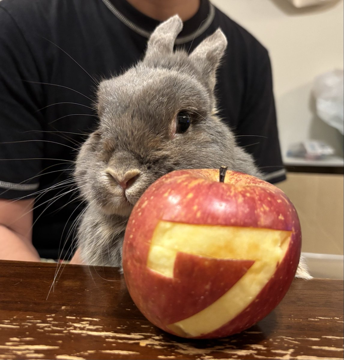 ぴん&たぬ tweet media