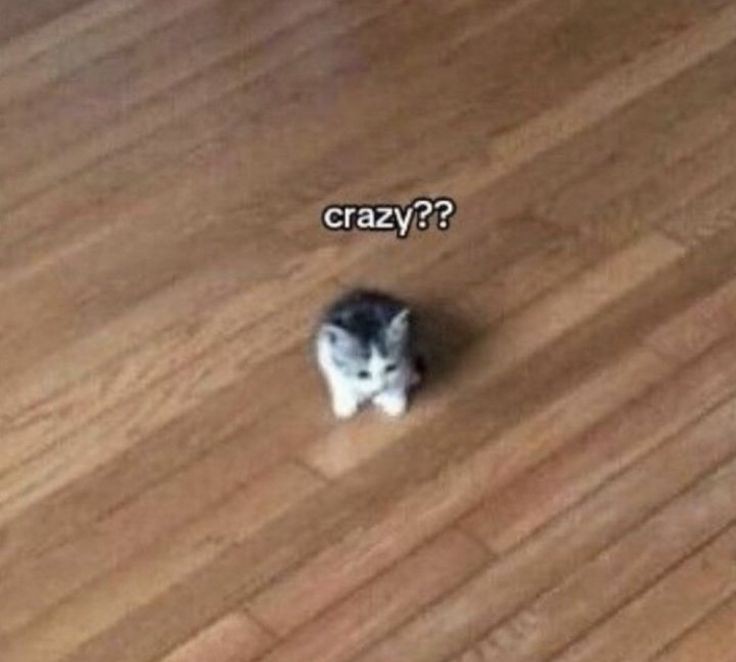 yeowological expert tweet media