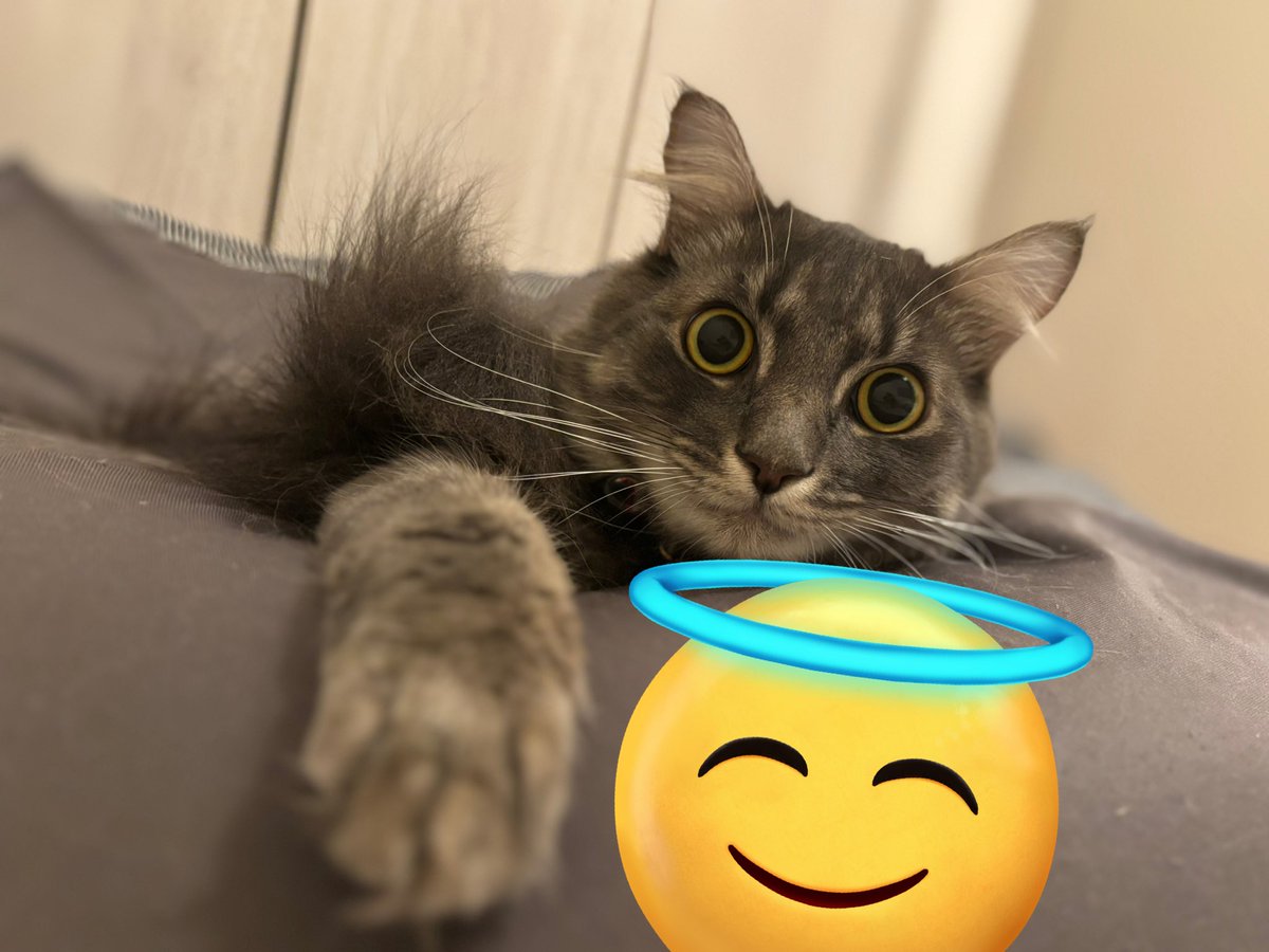 愛おしいえるくん🩷　#本日のエルくん