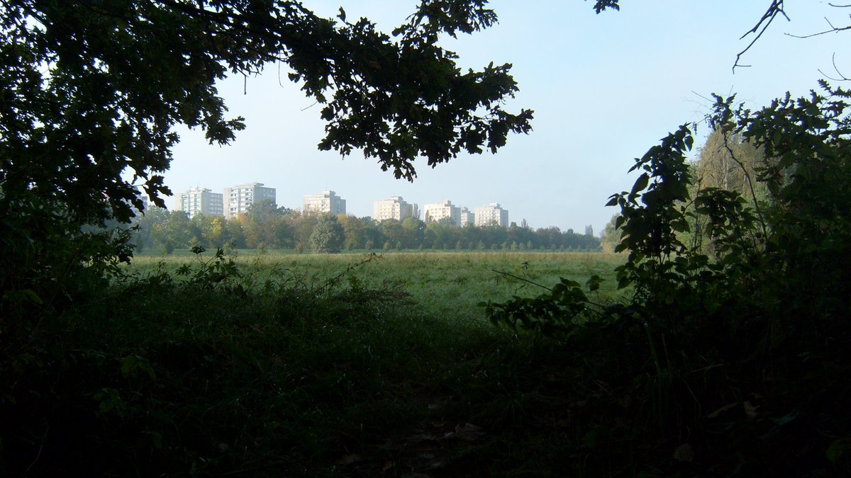 Dobré ráno a krásnou neděli, přátelé!
☕️🙋‍♂️⛪️