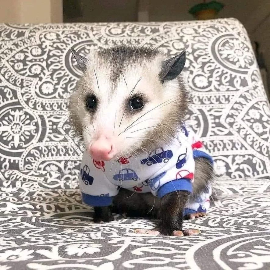 I LOVE MALAYSIA!!!!!!!!