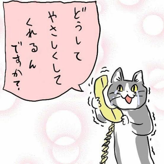 戻橋雪乃 tweet media