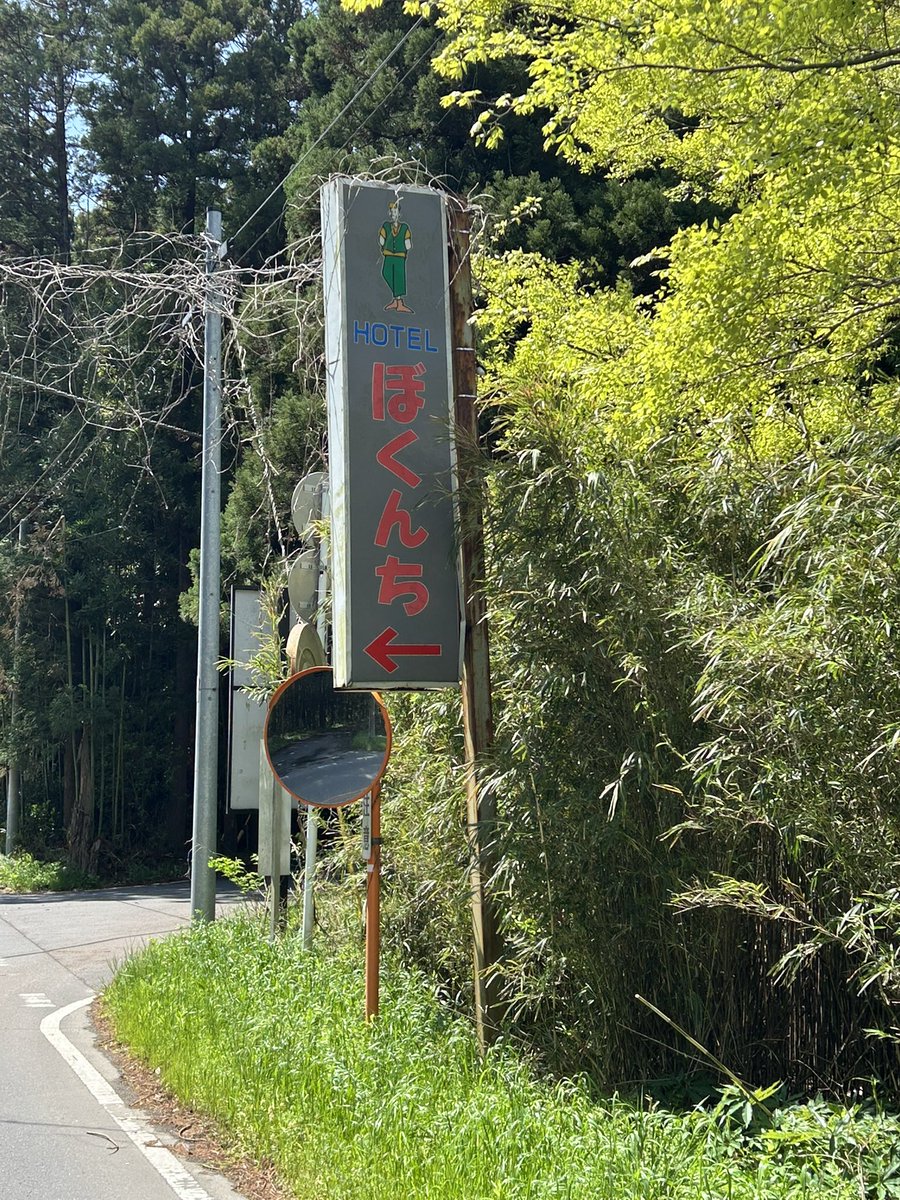 るね🍇 tweet media