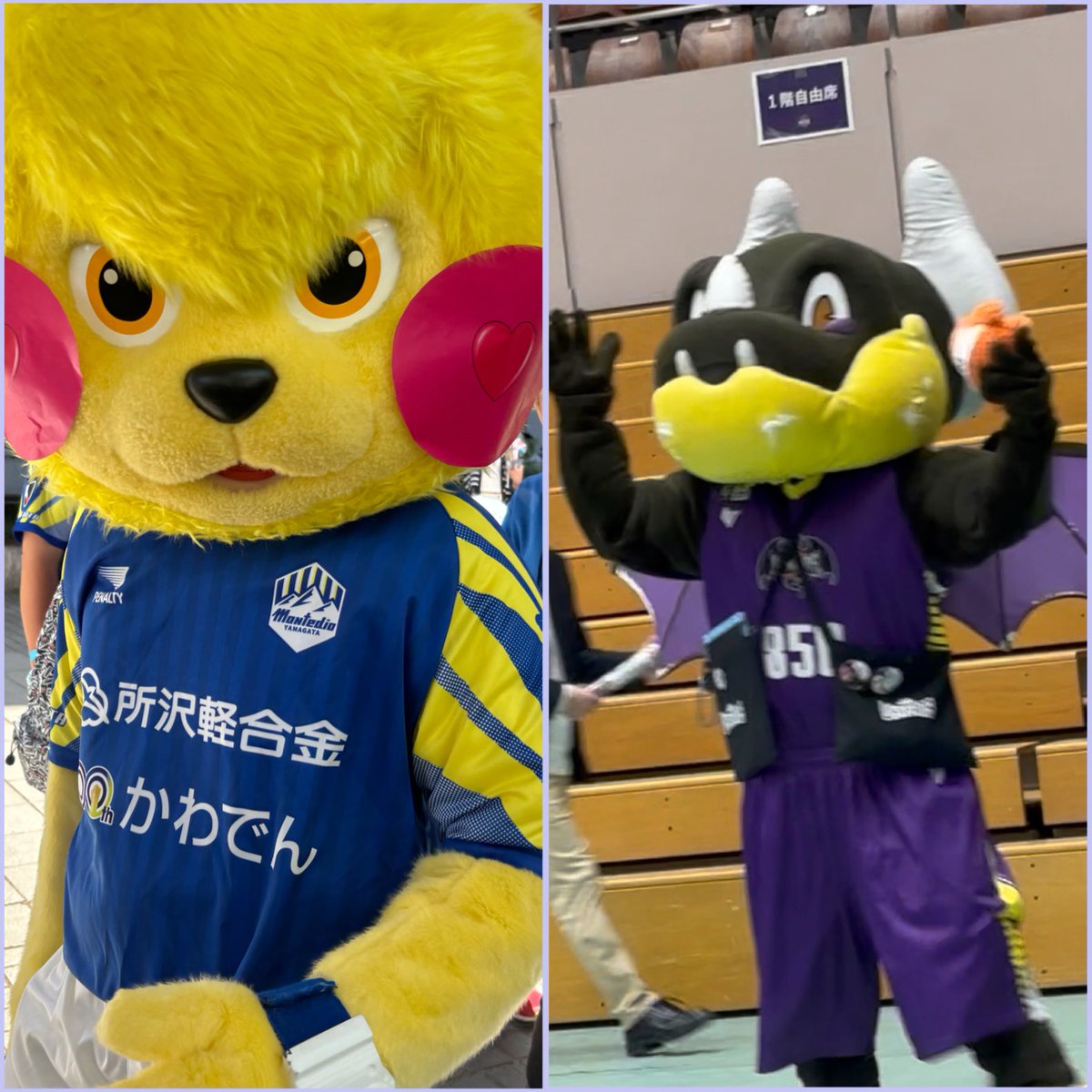 りんりん tweet media