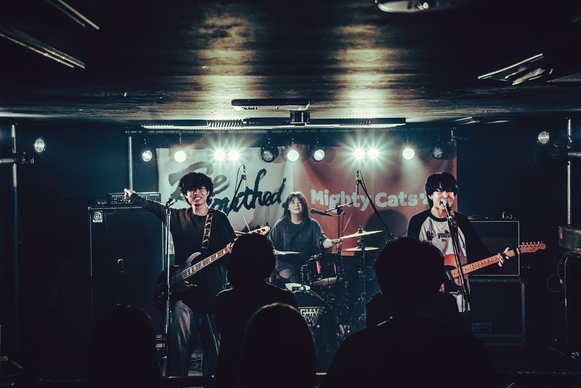 Mighty Cats tweet media