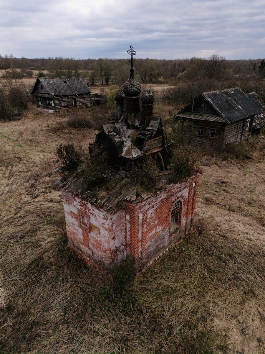 Амбассадор счастья tweet media