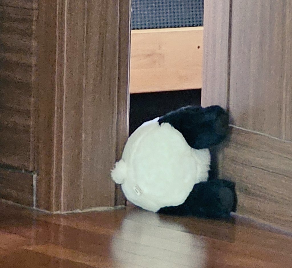 중학생 방 바람에 문닫힐까 희생하고있는 판다곰군