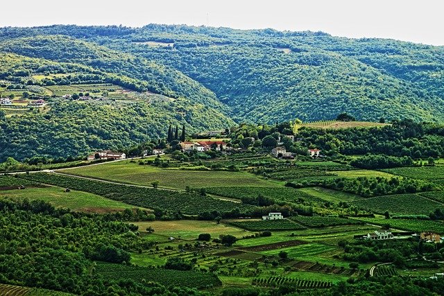 Brian Narita tweet media