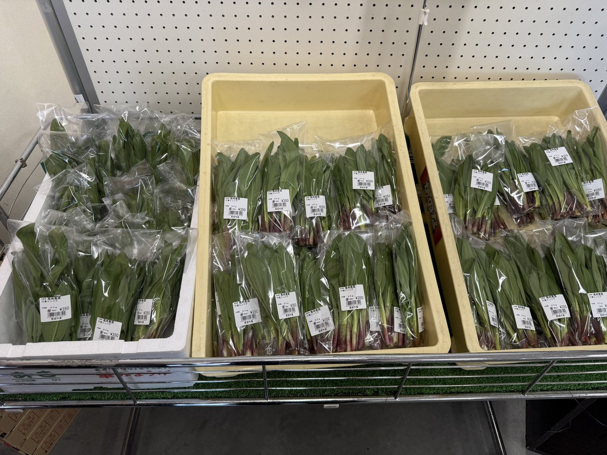 嘴太鴉 🥜🍃 tweet media