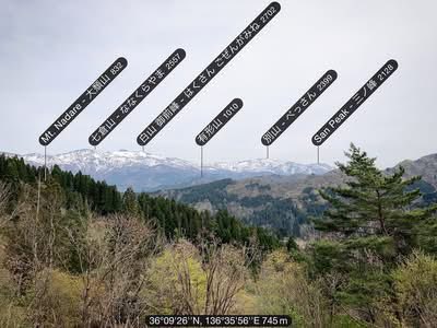 yamanecoan's tweet image. 2026/04/19（シフト休）
残念ながら青空では無くなりましたが #白山 はハッキリ見えていてよかった😽まだ雪が多そうですね🏔️
#白山高山植物園
#Hakusan #MtHakusan
#PeakFinder