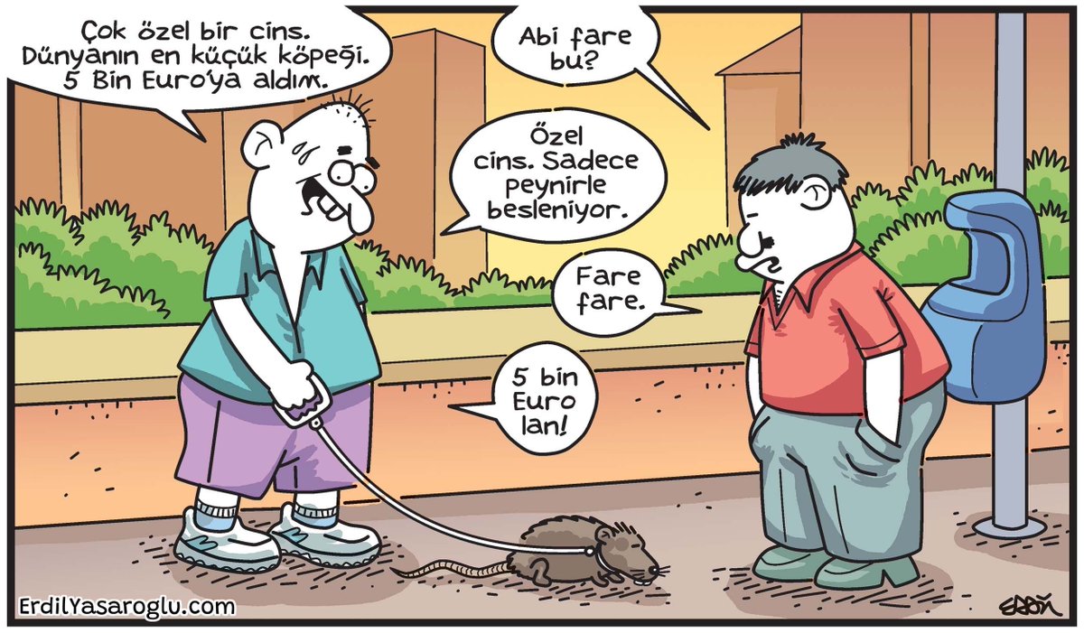 Erdil Yasaroglu tweet media