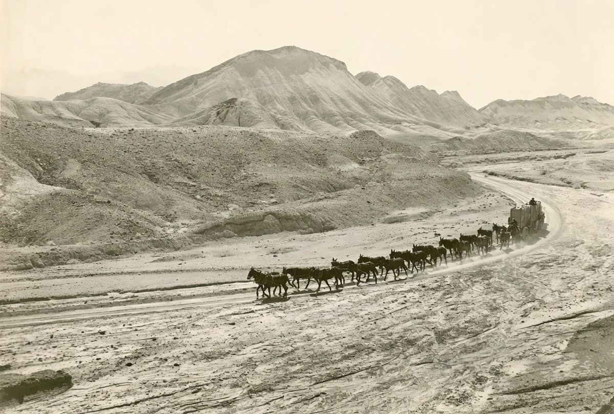 Traces of Texas tweet media