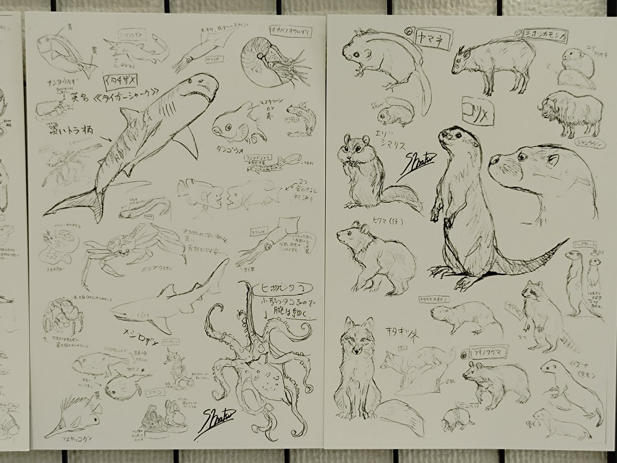 現代美術二等兵ふじわらかつひと tweet media